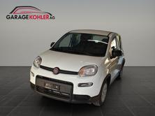 FIAT Panda 1.0 MHEV Cult, Hybride Léger Essence/Électricité, Voiture nouvelle, Manuelle - 2