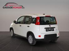 FIAT Panda 1.0 MHEV Cult, Hybride Léger Essence/Électricité, Voiture nouvelle, Manuelle - 4