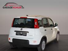 FIAT Panda 1.0 MHEV Cult, Hybride Léger Essence/Électricité, Voiture nouvelle, Manuelle - 5