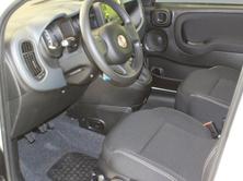 FIAT Panda 1.0 MHEV Cult, Hybride Léger Essence/Électricité, Voiture nouvelle, Manuelle - 7
