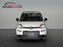 FIAT Panda 1.0 MHEV Cult, Hybride Léger Essence/Électricité, Voiture nouvelle, Manuelle - 3