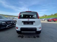 FIAT Panda 0.9 Twinair Turbo 4x4, Benzin, Occasion / Gebraucht, Handschaltung - 7