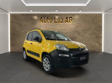 FIAT Panda 1.2 Van, Benzin, Occasion / Gebraucht, Handschaltung - 5