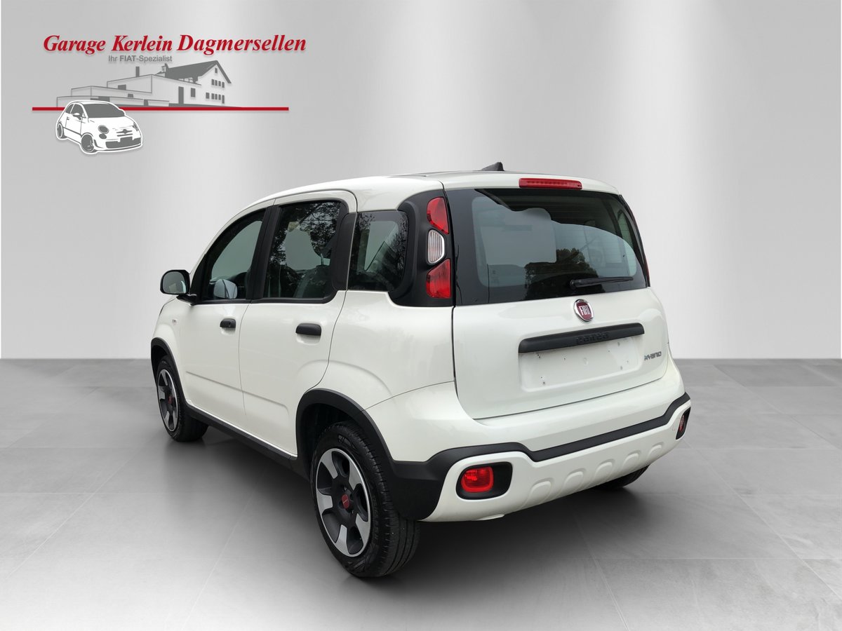 FIAT Panda 1.0 MHEV Cross, Hybride Léger Essence/Électricité, Occasion / Utilisé, Manuelle - 6