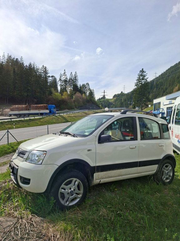 FIAT PANDA 1.3 JTD 4x4, Diesel, Occasion / Gebraucht, Handschaltung - 4