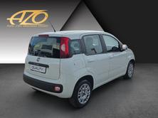 FIAT Panda 1.2 Easy, Petrol, Second hand / Used, Manual - 3