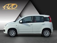 FIAT Panda 1.2 Easy, Petrol, Second hand / Used, Manual - 5