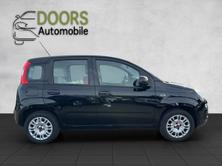 FIAT Panda 1.2 Lounge, Petrol, Second hand / Used, Manual - 7