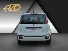 FIAT Panda 1.0 MHEV RED, Hybride Léger Essence/Électricité, Occasion / Utilisé, Manuelle - 4