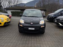 FIAT Panda 1.2 Lounge, Petrol, Second hand / Used, Manual - 2