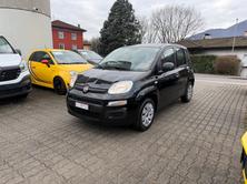 FIAT Panda 1.2 Lounge, Petrol, Second hand / Used, Manual - 3