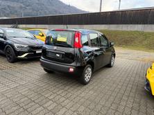 FIAT Panda 1.2 Lounge, Petrol, Second hand / Used, Manual - 5