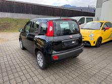 FIAT Panda 1.2 Lounge, Petrol, Second hand / Used, Manual - 6