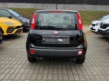 FIAT Panda 1.2 Lounge, Petrol, Second hand / Used, Manual - 7