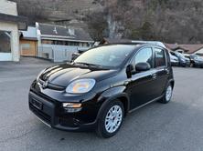 FIAT Panda 1.0 MHEV Cult PIZZA, Mild-Hybrid Petrol/Electric, Second hand / Used, Manual - 4