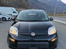 FIAT Panda 1.0 MHEV Cult PIZZA, Mild-Hybrid Petrol/Electric, Second hand / Used, Manual - 5