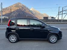 FIAT Panda 1.0 MHEV Cult PIZZA, Mild-Hybrid Petrol/Electric, Second hand / Used, Manual - 7