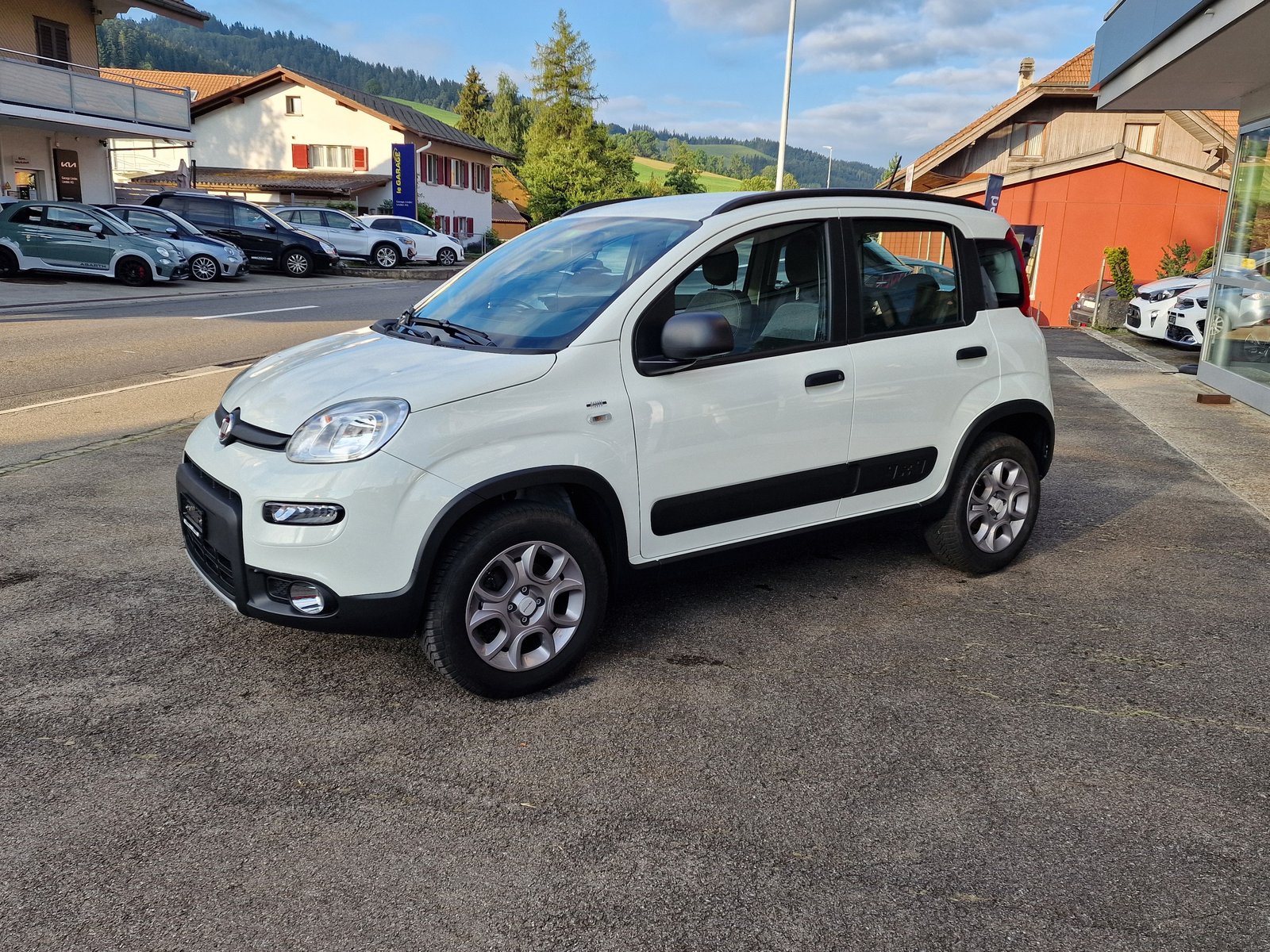FIAT Panda 0.9 Twinair Turbo Wild 4x4, Benzin, Occasion / Gebraucht, Handschaltung - 5