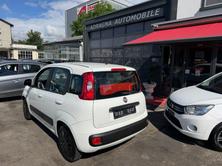 FIAT Panda 0.9 Twinair Turbo Easy MTA, Petrol, Second hand / Used, Automatic - 3