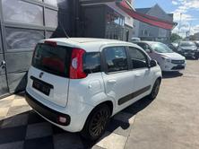 FIAT Panda 0.9 Twinair Turbo Easy MTA, Petrol, Second hand / Used, Automatic - 4