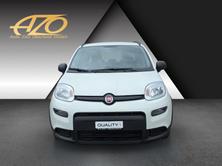 FIAT Panda 1.0 MHEV City Life, Mild-Hybrid Benzin/Elektro, Occasion / Gebraucht, Handschaltung - 2