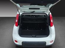 FIAT Panda 1.0 MHEV City Life, Mild-Hybrid Benzin/Elektro, Occasion / Gebraucht, Handschaltung - 7
