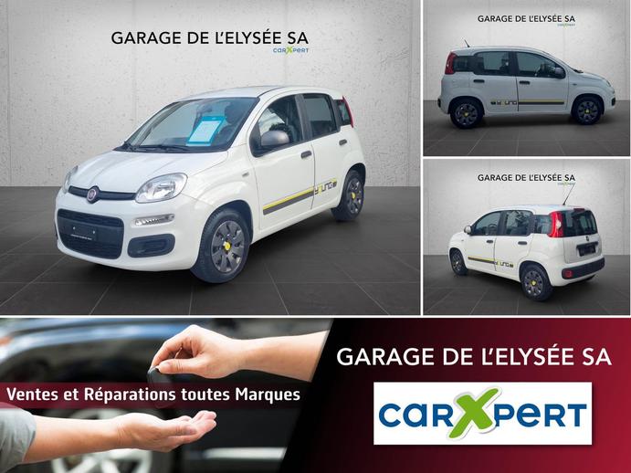 FIAT Panda 1.2 Young, Benzin, Occasion / Gebraucht, Handschaltung