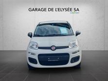 FIAT Panda 1.2 Young, Benzin, Occasion / Gebraucht, Handschaltung - 2