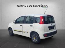 FIAT Panda 1.2 Young, Benzin, Occasion / Gebraucht, Handschaltung - 5