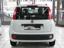 FIAT Panda 0.9 Twinair K-Way, Petrol, Second hand / Used, Manual - 5