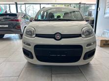 FIAT Panda 1.2 Lounge, Benzin, Occasion / Gebraucht, Handschaltung - 2