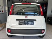 FIAT Panda 1.2 Lounge, Benzin, Occasion / Gebraucht, Handschaltung - 3