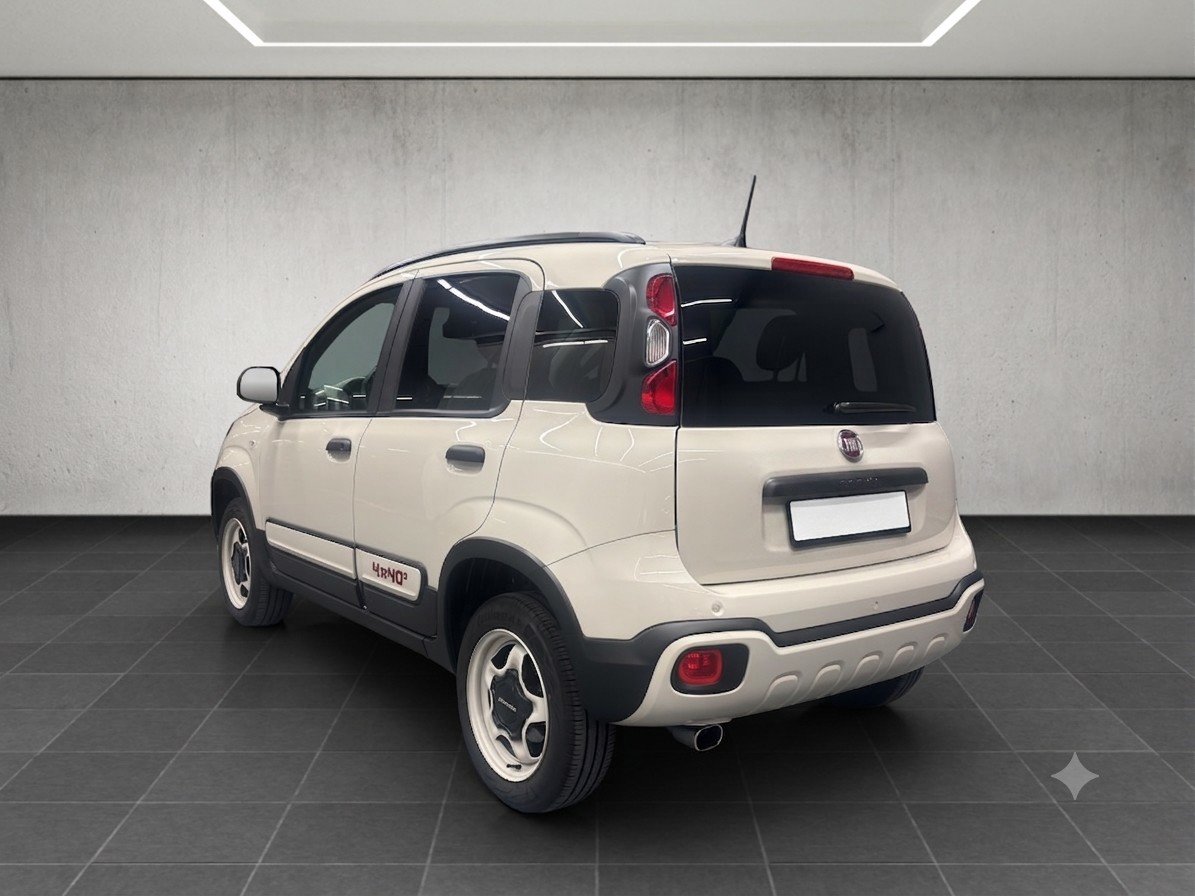 FIAT Panda 0.9 Twinair Turbo 4x40 4x4, Benzina, Occasioni / Usate, Manuale - 3