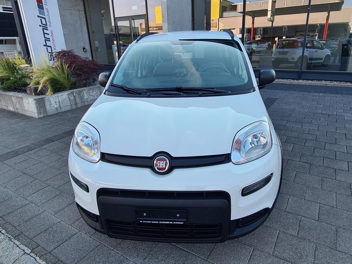 FIAT Panda 1.0 MHEV City Life, Mild-Hybrid Benzin/Elektro, Occasion / Gebraucht, Handschaltung