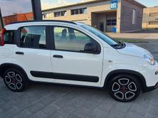 FIAT Panda 1.0 MHEV City Life, Mild-Hybrid Benzin/Elektro, Occasion / Gebraucht, Handschaltung - 3