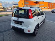 FIAT Panda 1.0 MHEV City Life, Mild-Hybrid Benzin/Elektro, Occasion / Gebraucht, Handschaltung - 5