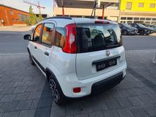 FIAT Panda 1.0 MHEV City Life, Mild-Hybrid Benzin/Elektro, Occasion / Gebraucht, Handschaltung - 6