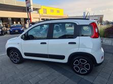 FIAT Panda 1.0 MHEV City Life, Mild-Hybrid Benzin/Elektro, Occasion / Gebraucht, Handschaltung - 7
