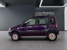 FIAT Panda 1.3 16V JTD Climbing 4x4, Diesel, Occasioni / Usate, Manuale - 2