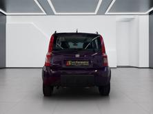 FIAT Panda 1.3 16V JTD Climbing 4x4, Diesel, Occasioni / Usate, Manuale - 5