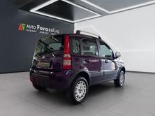 FIAT Panda 1.3 16V JTD Climbing 4x4, Diesel, Occasioni / Usate, Manuale - 6