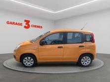 FIAT Panda 1.2 Cool, Benzin, Occasion / Gebraucht, Handschaltung - 2