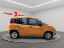 FIAT Panda 1.2 Cool, Benzin, Occasion / Gebraucht, Handschaltung - 3