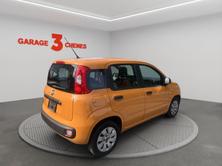 FIAT Panda 1.2 Cool, Benzin, Occasion / Gebraucht, Handschaltung - 4