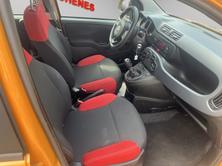 FIAT Panda 1.2 Cool, Benzin, Occasion / Gebraucht, Handschaltung - 7
