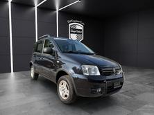 FIAT Panda 1.3 JTD 75 Climbing 4x4, Diesel, Occasion / Utilisé, Manuelle - 7