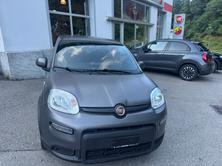 FIAT Panda 1.0 MHEV Sport, Mild-Hybrid Benzin/Elektro, Occasion / Gebraucht, Handschaltung - 3