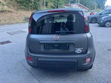 FIAT Panda 1.0 MHEV Sport, Mild-Hybrid Benzin/Elektro, Occasion / Gebraucht, Handschaltung - 5