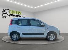 FIAT Panda 0.9 Twinair Turbo Lounge MTA, Benzin, Occasion / Gebraucht, Automatik - 6