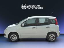 FIAT Panda 0.9 Twinair Turbo Easy, Benzina, Occasioni / Usate, Manuale - 3